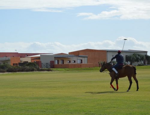 TRAFALGAR POLO ACADEMY