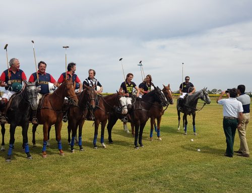 LIVING POLO ANDALUCÍA