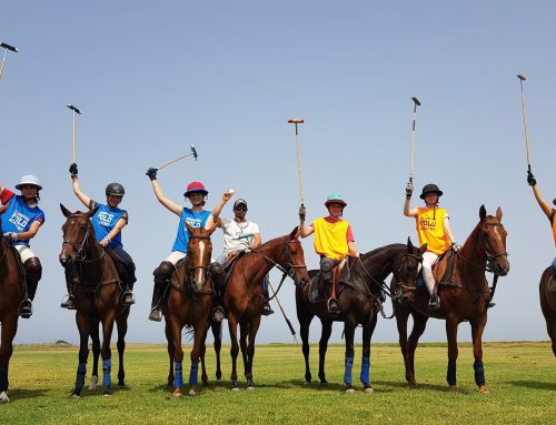 POLO SUMMER CAMP