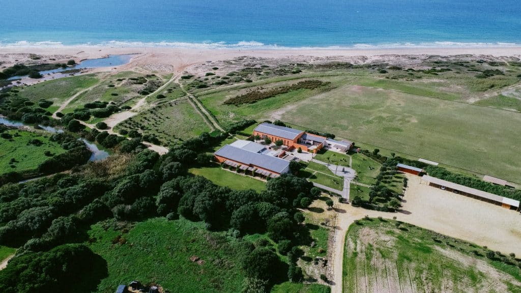 polo club